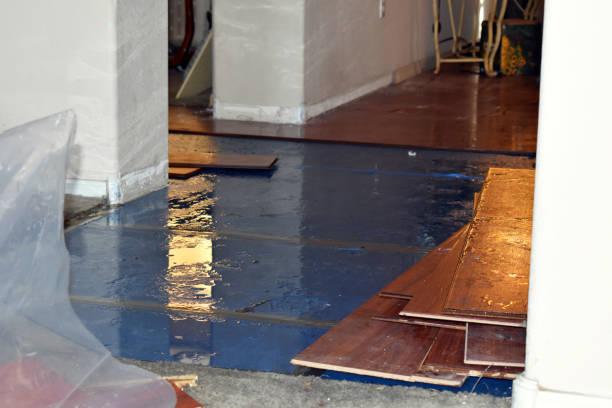 Professional Flood Cleanup technician working in Red Oak, IA